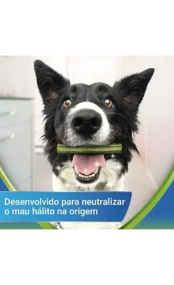 Biscoitos para cão Purina Dentalife Activfresh Large – imagem secundária 1