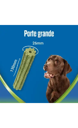 Biscoitos para cão Purina Dentalife Activfresh Large – imagem secundária 6
