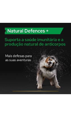 Pro Plan Natural Defenses + – imagem secundária 1