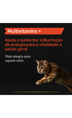 Pro Plan Multivitamins + – imagem secundária 1
