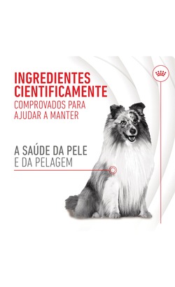 Biscoitos para cão Royal Canin Skin & Coat Chews Adult Supplements – imagem secundária 1