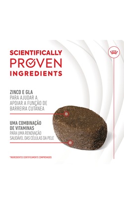 Biscoitos para cão Royal Canin Skin & Coat Chews Adult Supplements – imagem secundária 3