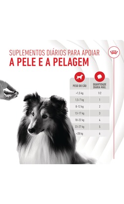 Biscoitos para cão Royal Canin Skin & Coat Chews Adult Supplements – imagem secundária 4