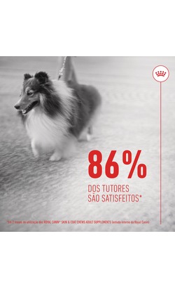 Biscoitos para cão Royal Canin Skin & Coat Chews Adult Supplements – imagem secundária 5