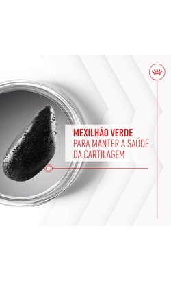 Biscoitos para cão Royal Canin Joint & Ageing Chews Adult Supplements – imagem secundária 2