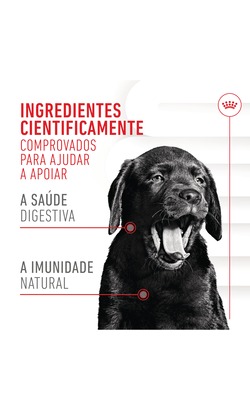 Biscoitos para cão Royal Canin Immunity & Digestion Chews Puppy Supplements – imagem secundária 1