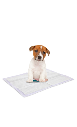 Savic Tapetes para cão Puppy Trainer Pads Lavender | M – imagem secundária 3