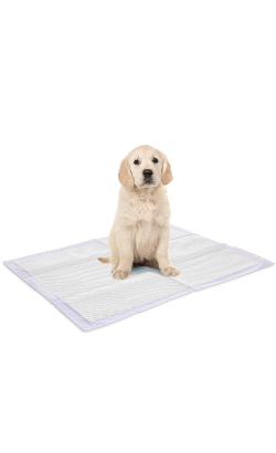Savic Tapetes para cão Puppy Trainer Pads Lavender | L – imagem secundária 3