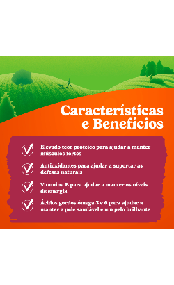 Biscoitos para cão Friskies Picnic Variety | Vaca, Frango & Borrego – imagem secundária 3