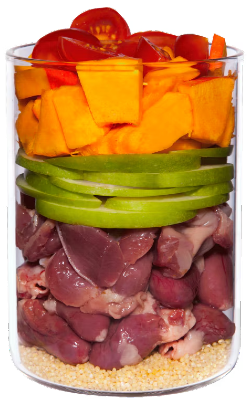 Terra Canis Puppy Frango c/ Abóbora, Camomila & Tomate – imagem secundária 1