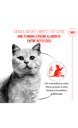 Royal Canin Care Appetite Control Airlift Mousse – imagem secundária 3