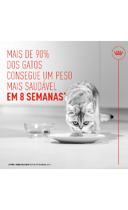 Royal Canin Care Light Weight Airlift Mousse – imagem secundária 2
