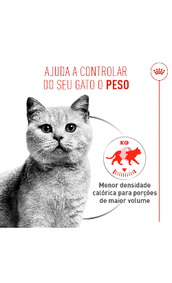Royal Canin Care Light Weight Airlift Mousse – imagem secundária 3