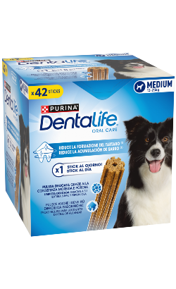 Biscoitos para cão Purina Dentalife Medium Big Pack