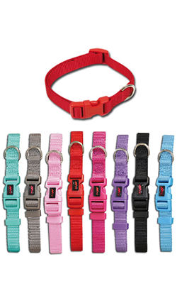 Coleira para cão Nayeco Basic Collar Nylon | 25 mm x 48-70 cm