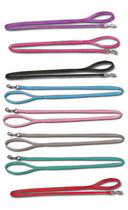 Coleira para cão Nayeco Basic Leash Nylon | 20 mm x 100 cm