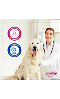 Douxo S3 Calm Champô – imagem secundária 3