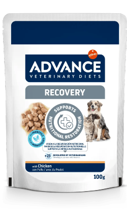 Alimentção veterinária húmida para cão Advance Vet & Cat Recovery – imagem principal