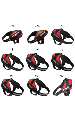 Arnês para Cão Julius-K9 IDC Powerharness | Azul – imagem secundária 1