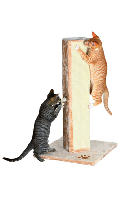 Arranhador para Gatos Trixie Soria – imagem principal