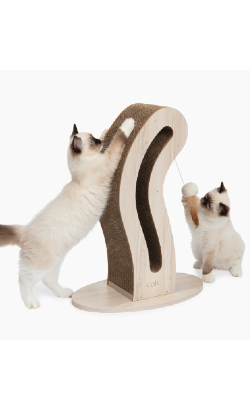 Arranhadores p/ Gatos Cartão Catit Pixi – imagem secundária 3