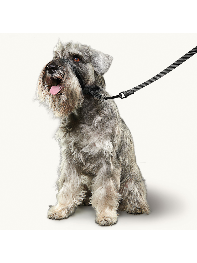 Beaphar Gentle Leader Black – imagem secundária 2