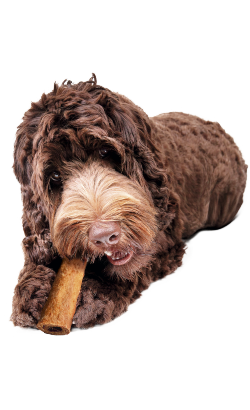 Biscoitos para Cão Brit Premium by Nature Collagen Tubes Filled with Turkey Happy Chewing Day – imagem secundária 1