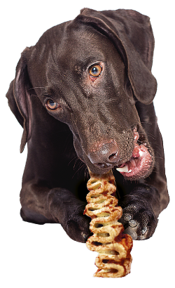 Biscoitos para Cão Brit Premium by Nature Collagen Waves Happy Chewing Day – imagem secundária 1
