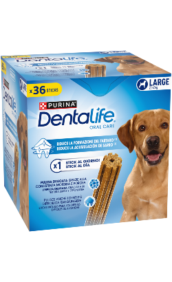 Biscoitos para cão Purina Dentalife Large Big Pack – imagem principal