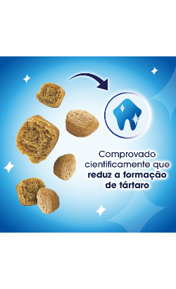 Biscoitos para Gato Purina Dentalife Chicken – imagem secundária 2