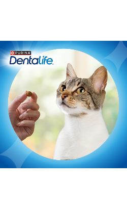Biscoitos para Gato Purina Dentalife Chicken – imagem secundária 5