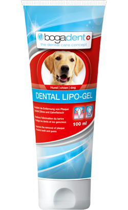 Bogadent Cão Dental Lipo-Gel para cão – imagem principal