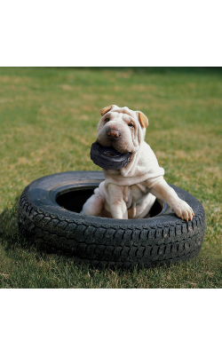 Brinquedo para cão Kong Extreme Traxx Tires – imagem secundária 3