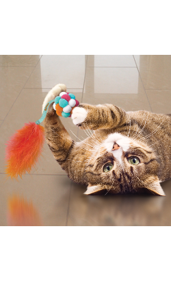 Brinquedo para Gato Kong Cat Active Bubble Ball - Cores Sortidas – imagem secundária 1