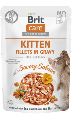 Brit Care Cat Kitten Fillets in Gravy with Savory Salmon