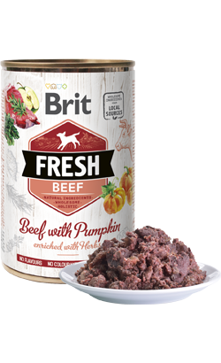 Brit Fresh Beef & Pumpkin