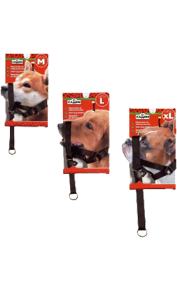Camon Açaime Treino para cão – imagem principal
