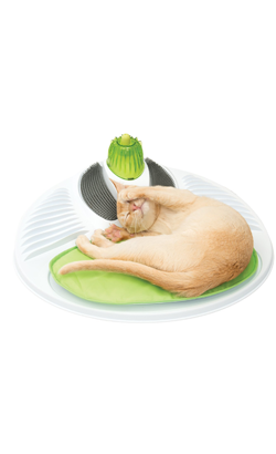 Catit Senses 2.0 Wellness Center – imagem principal