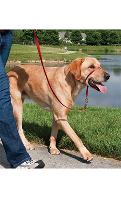 Coleira para cão Nayeco Coleira Ronzal Easy Walk Black – imagem secundária 1