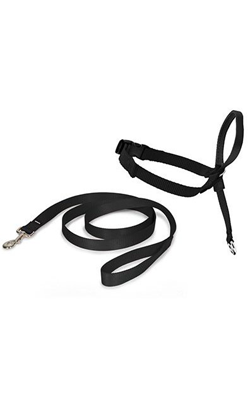 Coleira para cão Nayeco Coleira Ronzal Easy Walk Black – imagem principal