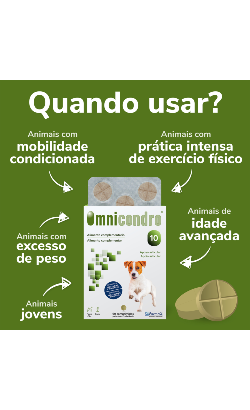 Comprimidos Omnicondro 10 – imagem secundária 1