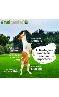 Comprimidos Omnicondro 10 – imagem secundária 2