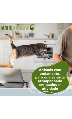 Comprimidos Omnicondro 10 – imagem secundária 3