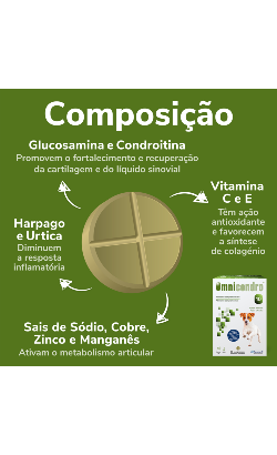 Comprimidos Omnicondro 10 – imagem secundária 4