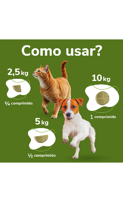 Comprimidos Omnicondro 10 – imagem secundária 5