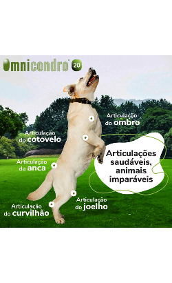 Comprimidos Omnicondro 20 – imagem secundária 2