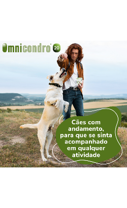 Comprimidos Omnicondro 20 – imagem secundária 3