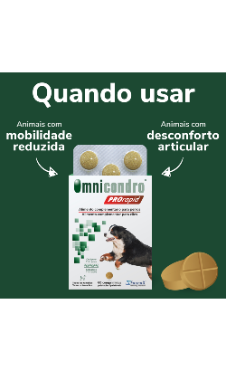 Comprimidos Omnicondro ProRapid – imagem secundária 1