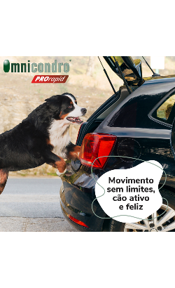 Comprimidos Omnicondro ProRapid – imagem secundária 2