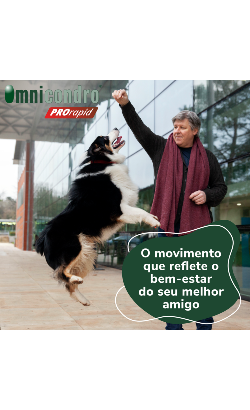 Comprimidos Omnicondro ProRapid – imagem secundária 3
